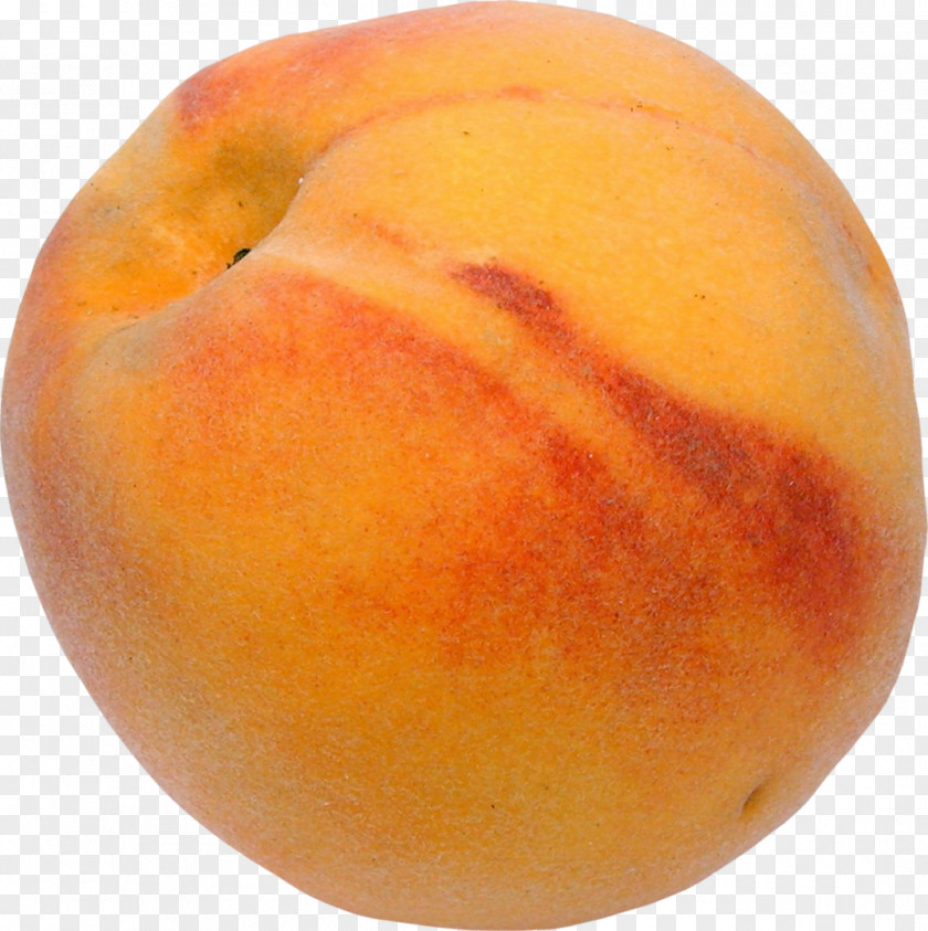 Peach Auglis Fruit Orange Clip Art PNG