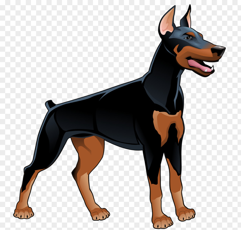 Puppy Dobermann German Pinscher Cartoon PNG