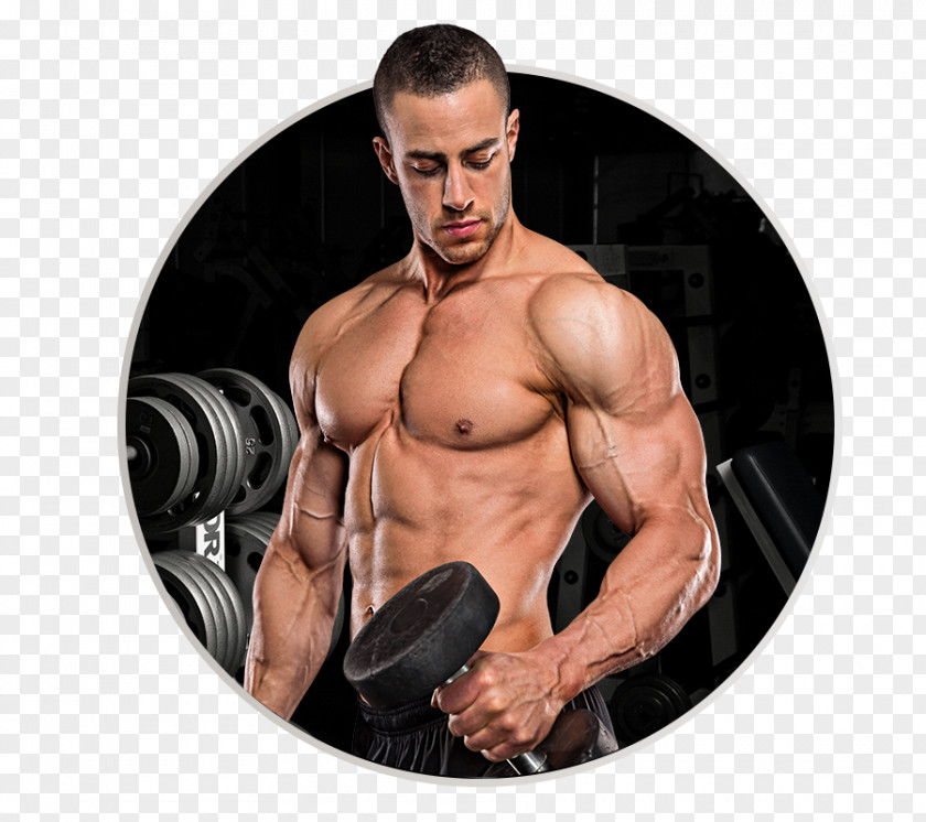 Ripped Bodybuilding Supplement Muscle Dietary Physical Fitness PNG