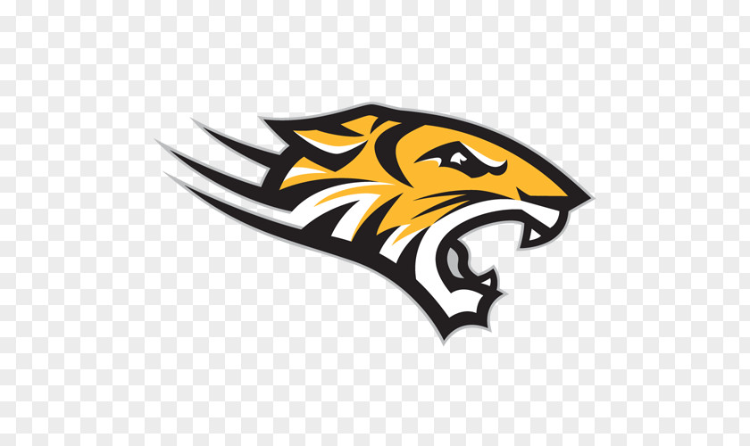 Towson University Tigers Football Men's Basketball Sport PNG