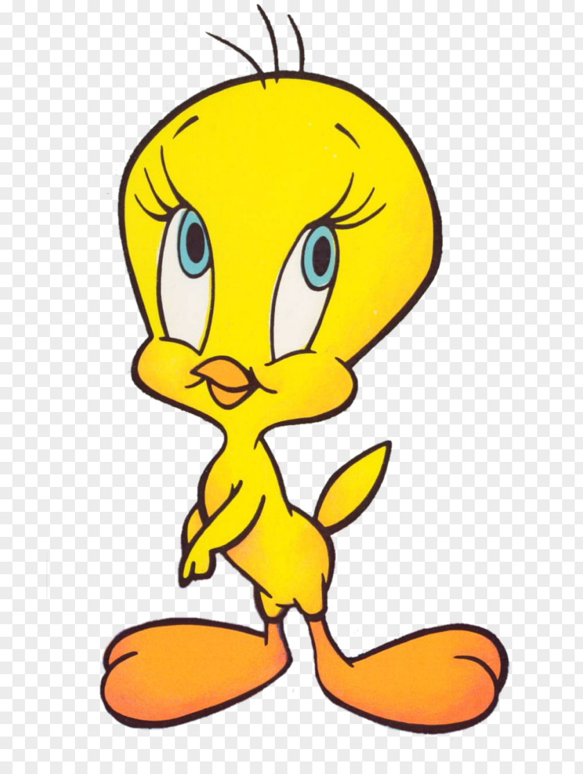 Caricature Tweety Cartoon Sylvester Drawing PNG