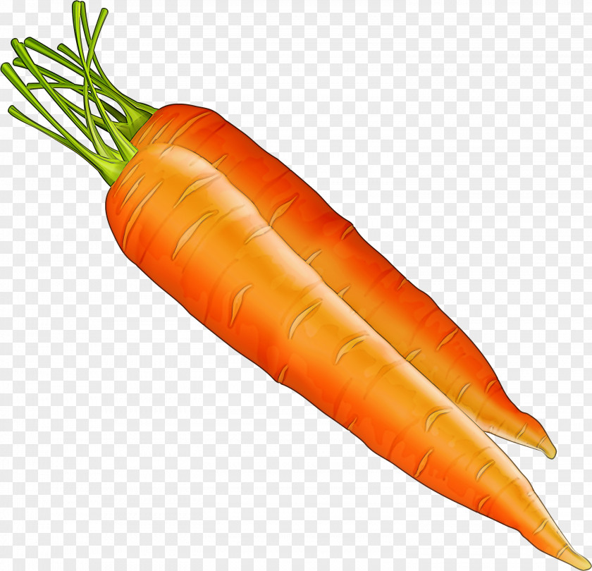 Local Food Natural Foods Carrot Vegetable Root Wild PNG