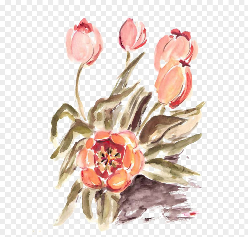Magnolia Wildflower Flower Art Watercolor PNG