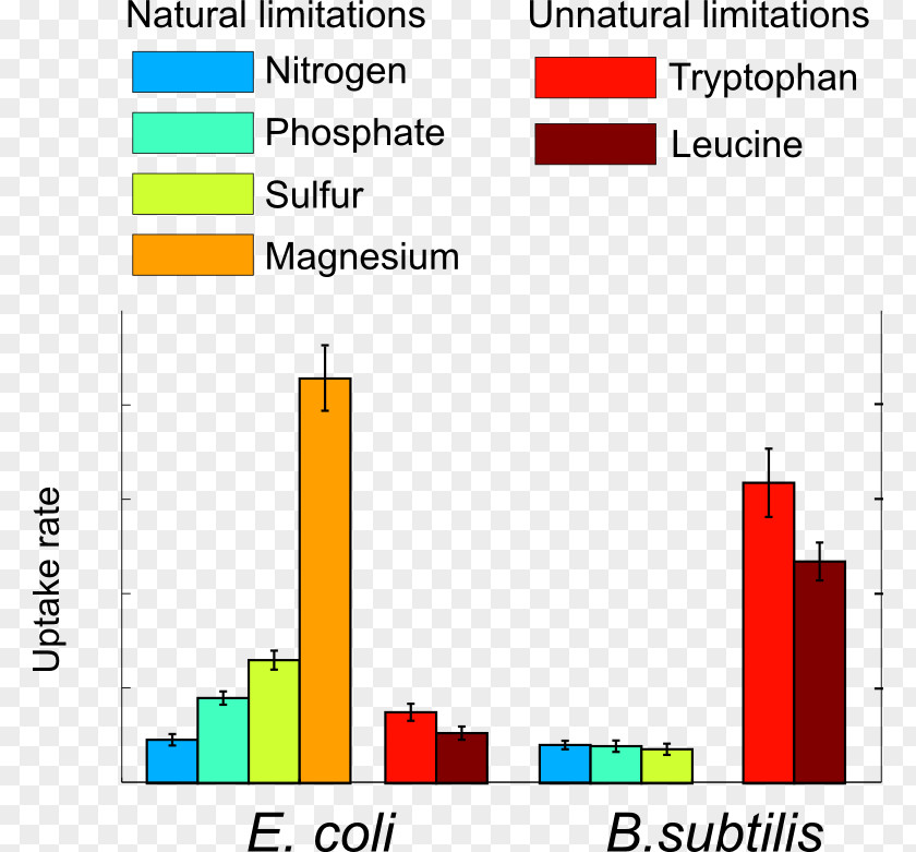 Starvation ETH Zurich Biology Bacteria Metabolism Research PNG