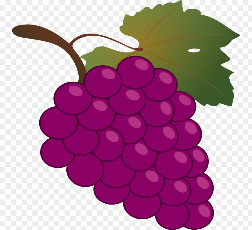 Grapes Images Common Grape Vine Wine Free Content Clip Art PNG