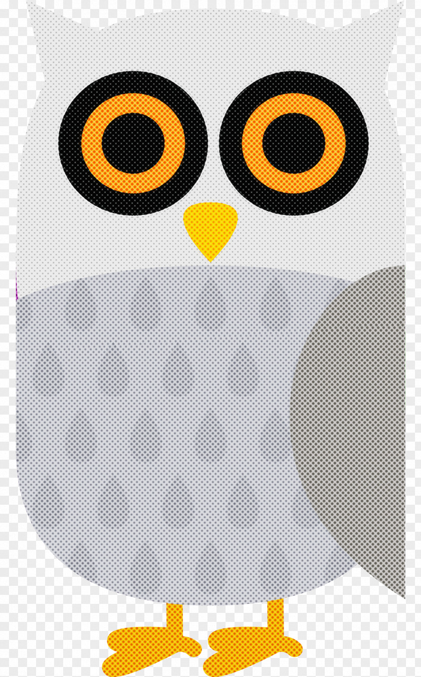 Owls Birds Eastern Screech Owl Tawny Beak PNG
