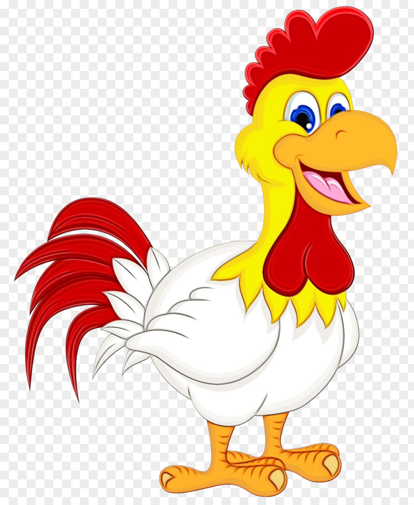 Poultry Livestock Chicken Bird Rooster Cartoon Beak PNG
