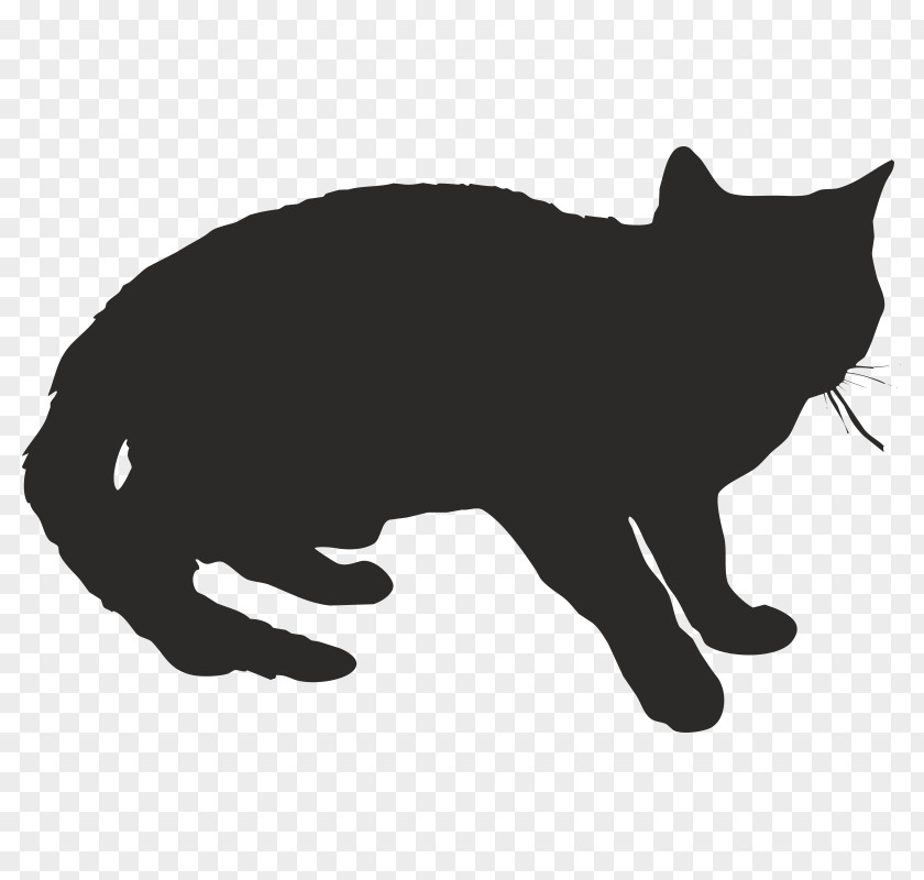 Cat Kitten Royalty-free Clip Art PNG