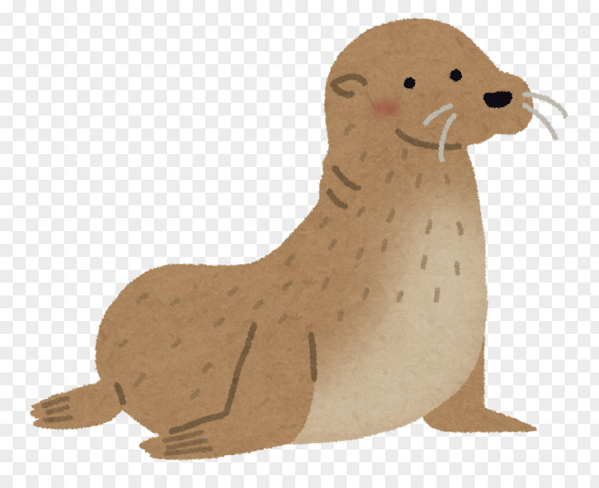 Cat Sea Lion Fur Seal Earless Caniformia PNG