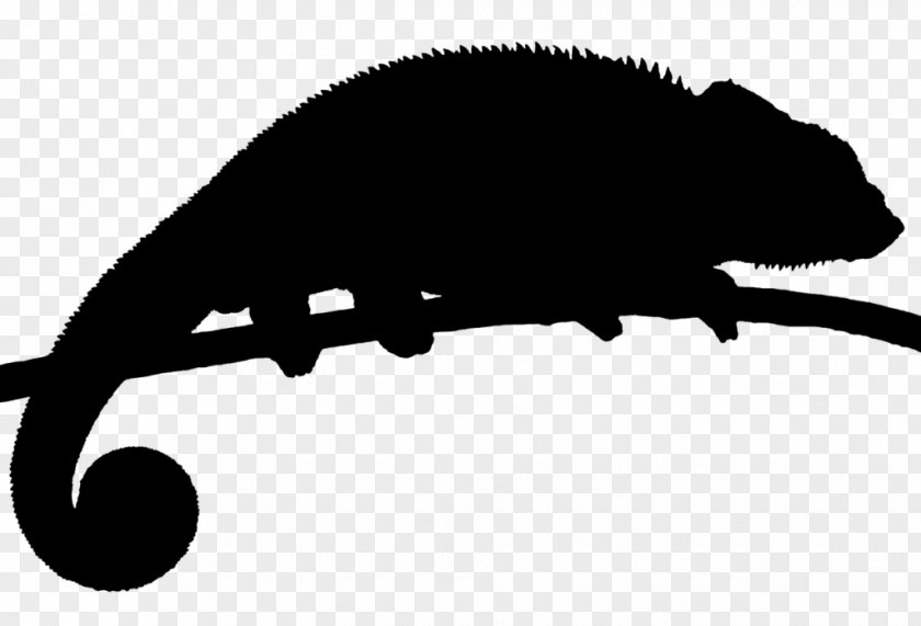 Clip Art Snout Fauna Silhouette PNG