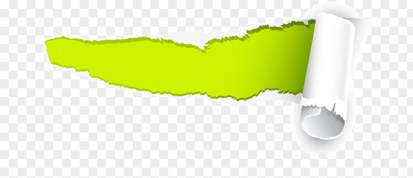 Green TEAR Paper Fundal Logo PNG