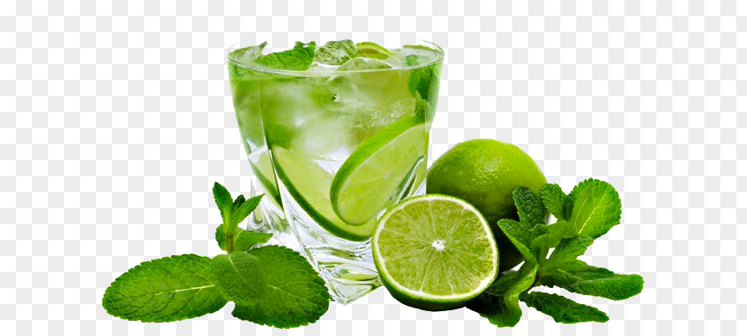Mojito Cocktail Carbonated Water Lemon Lime PNG