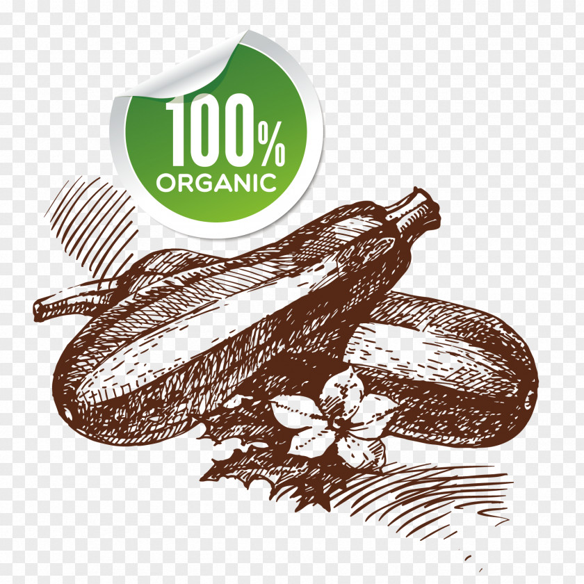 Vector Vegetables And Flowers Organic Food Royalty-free Clip Art PNG
