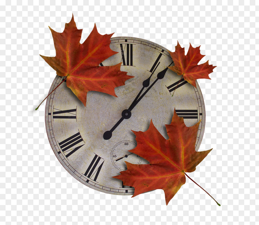 Watch With Leaves Autumn Daytime Summer Gold Clip Art PNG