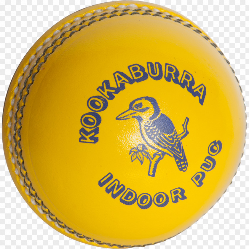 Ball Cricket Balls Sport Golf PNG