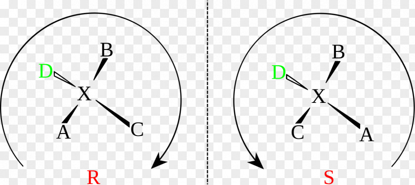 Design Circle Drawing PNG