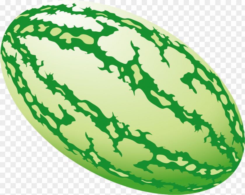 Hand Painted Green Watermelon Illustration PNG
