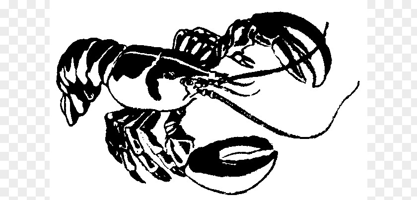 Lobster Drawings Clip Art PNG