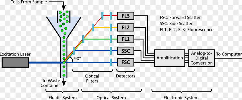 Particles Flow Cytometry Cell Information System PNG