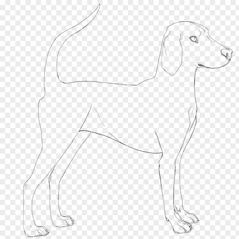 Puppy Dog Breed Companion Line Art PNG