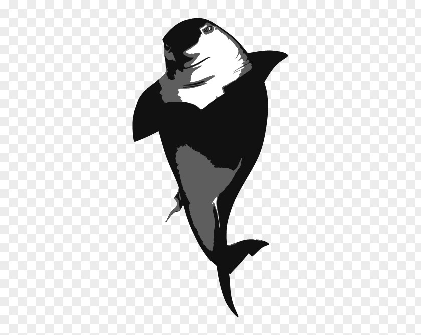 Shark Don Lino DreamWorks Animation PNG