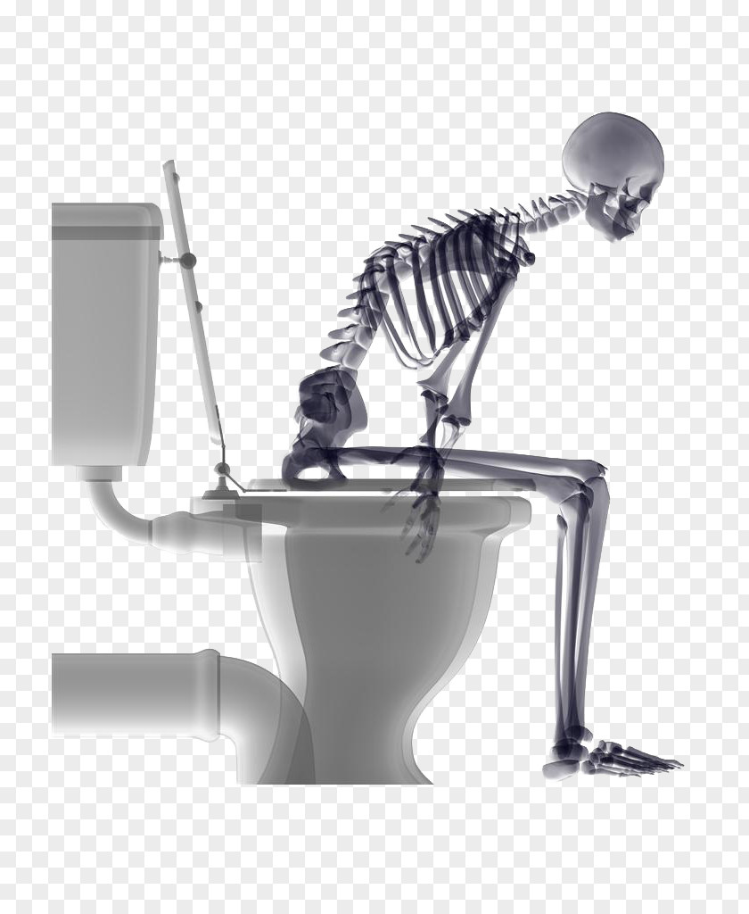 Squatting Toilet Skull Human Skeleton Shower PNG