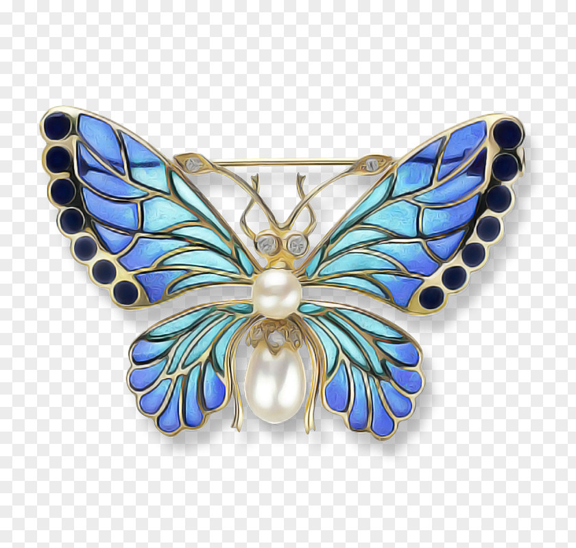 Symmetry Jewellery Butterfly Wing Insect Moths And Butterflies Brooch PNG