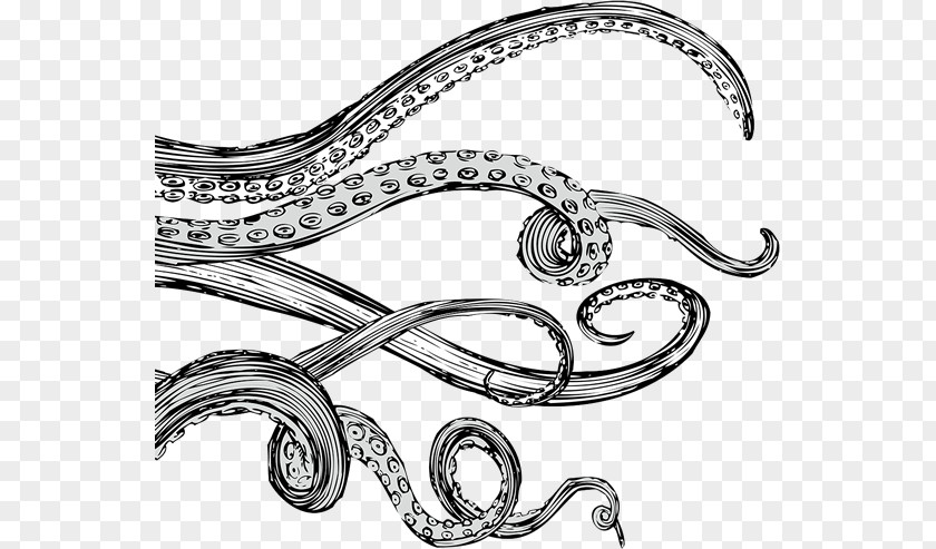 Tentacles Tentacle Octopus Drawing Sticker PNG
