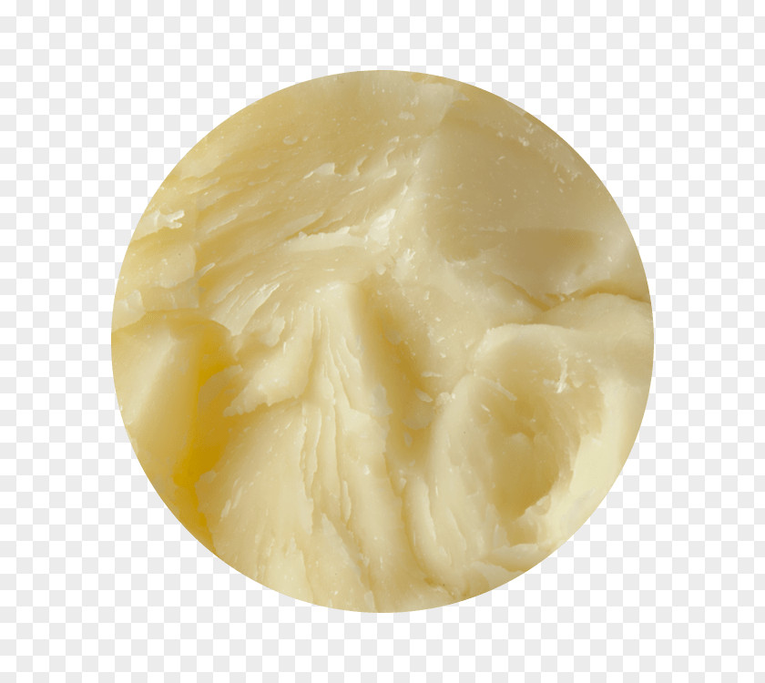 Cheese Saint-Antoine-de-l'Isle-aux-Grues Cheddar Pasta Fromagerie PNG