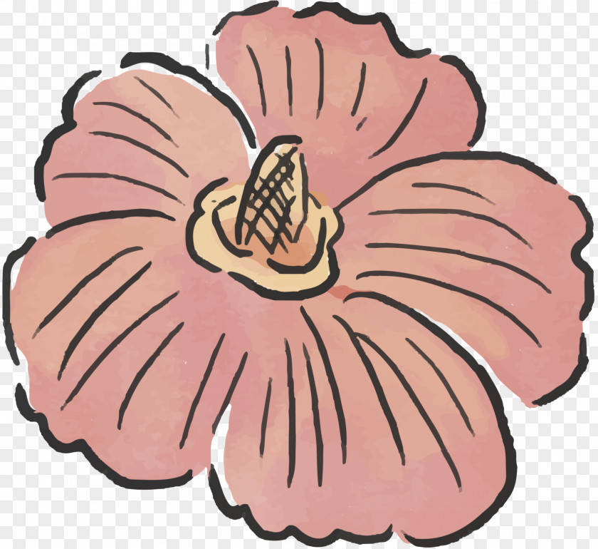 Clip Art Finger Product Pink M Flowering Plant PNG