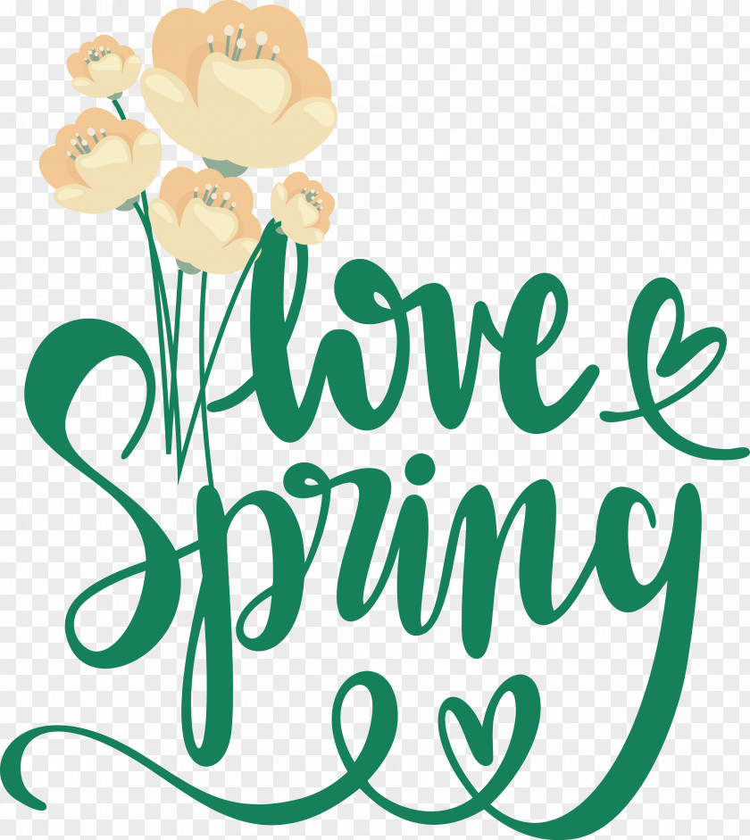 Floral Design PNG