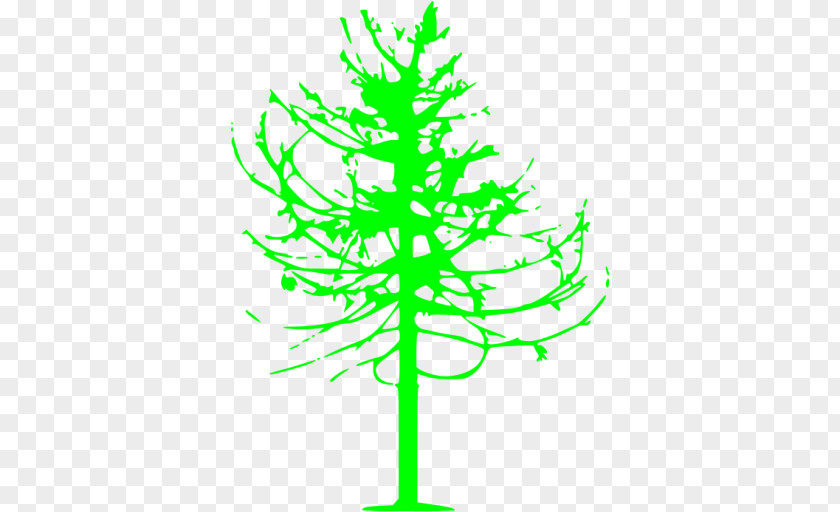 Leaf Pine Plant Stem Line Clip Art PNG