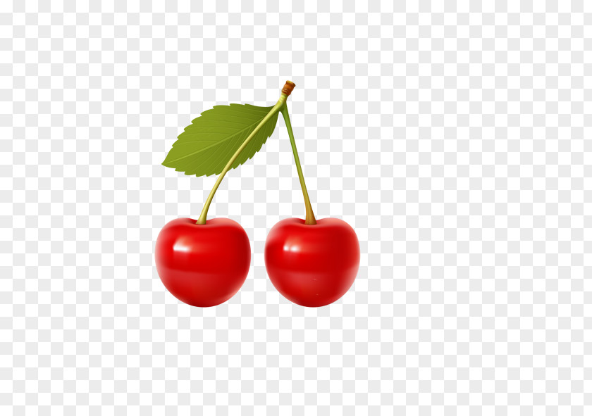 Cherry Frutti Di Bosco Coca-Cola Clip Art PNG