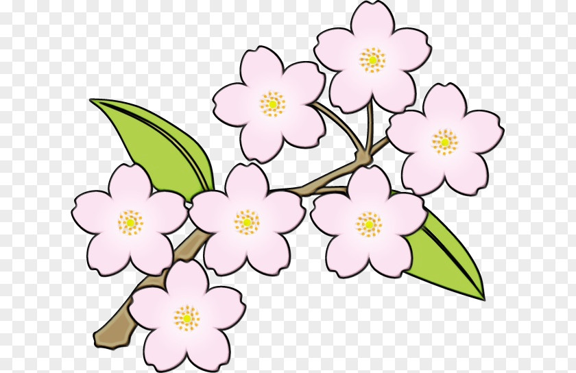 Floral Design Cut Flowers Cherry Blossom Flowering Plant PNG