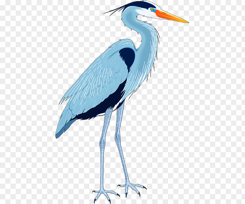 Great Blue Heron Drawing Clip Art PNG
