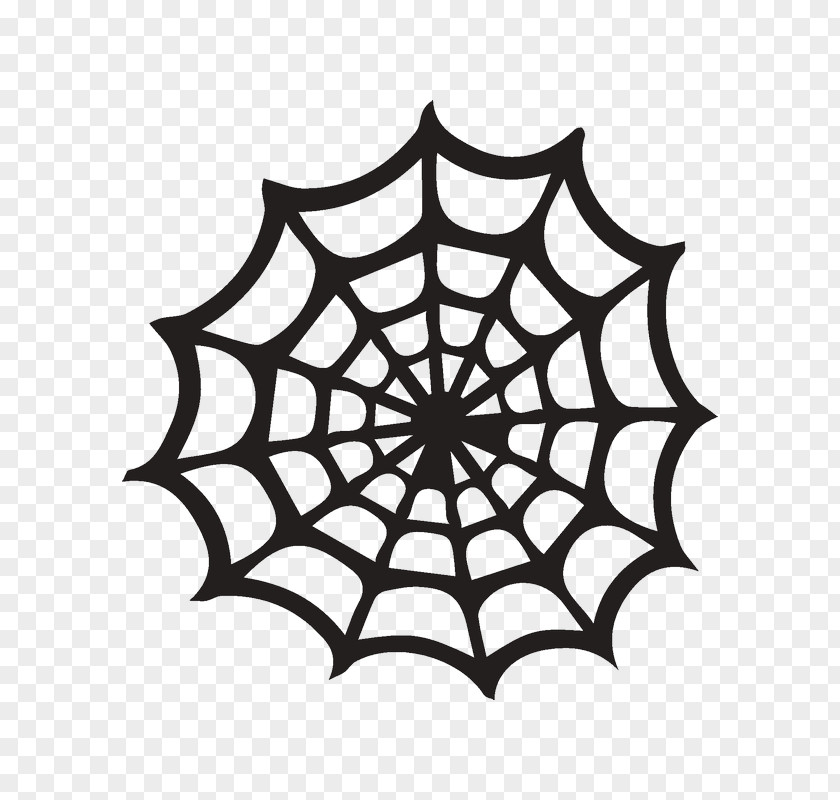 Spider Web Silhouette PNG