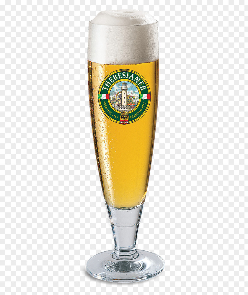 Beer Glasses Pilsner Pale Ale PNG