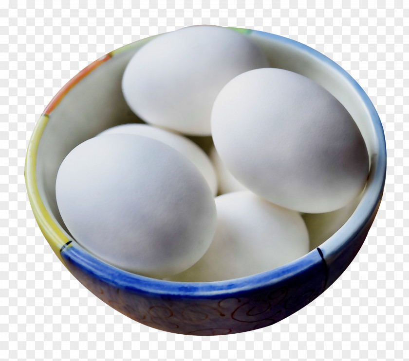 Egg PNG