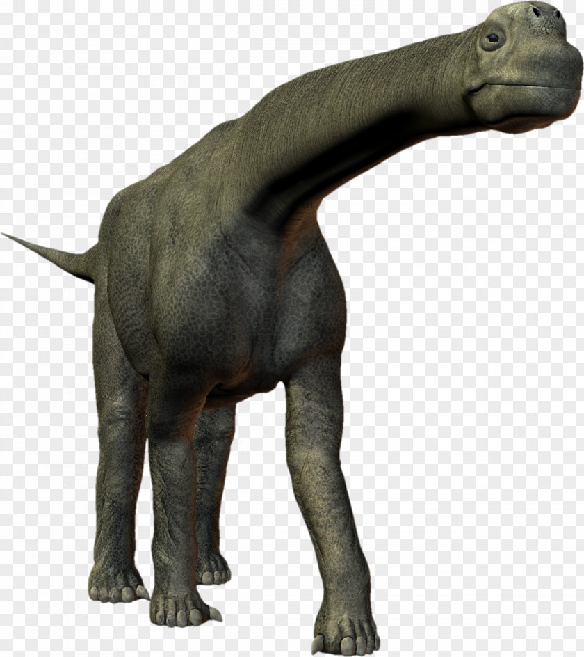 Dinosaur Tyrannosaurus Camarasaurus Reptile Sauropoda PNG