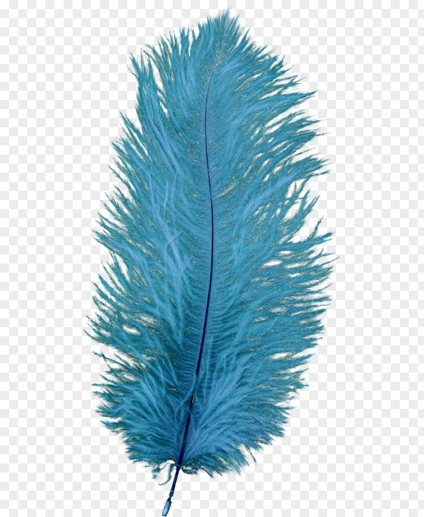 Feather Blue Bleu-violet PNG
