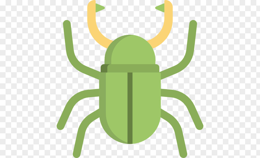 Illustration Clip Art Product Design Insect PNG