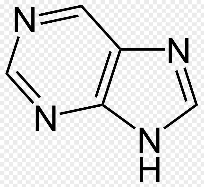 Indole Aromaticity Lactam Structure Heterocyclic Compound PNG