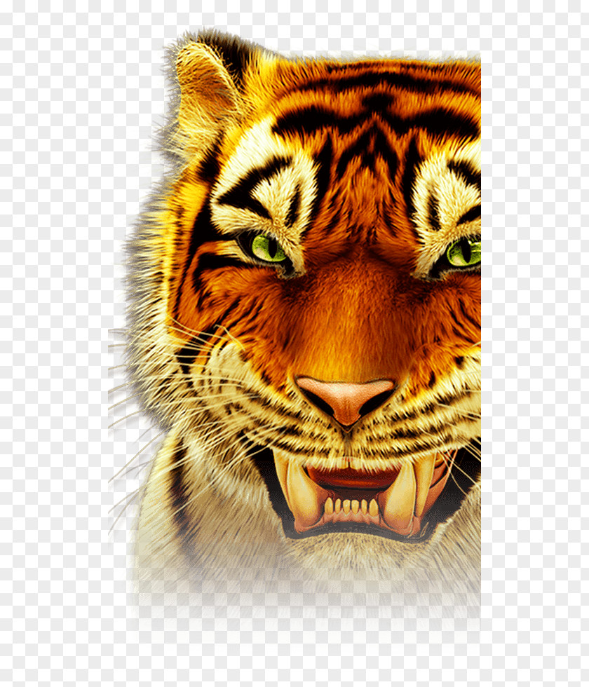 Black Tiger Whiskers Slot Machine Roar PNG tiger machine Roar, clipart PNG