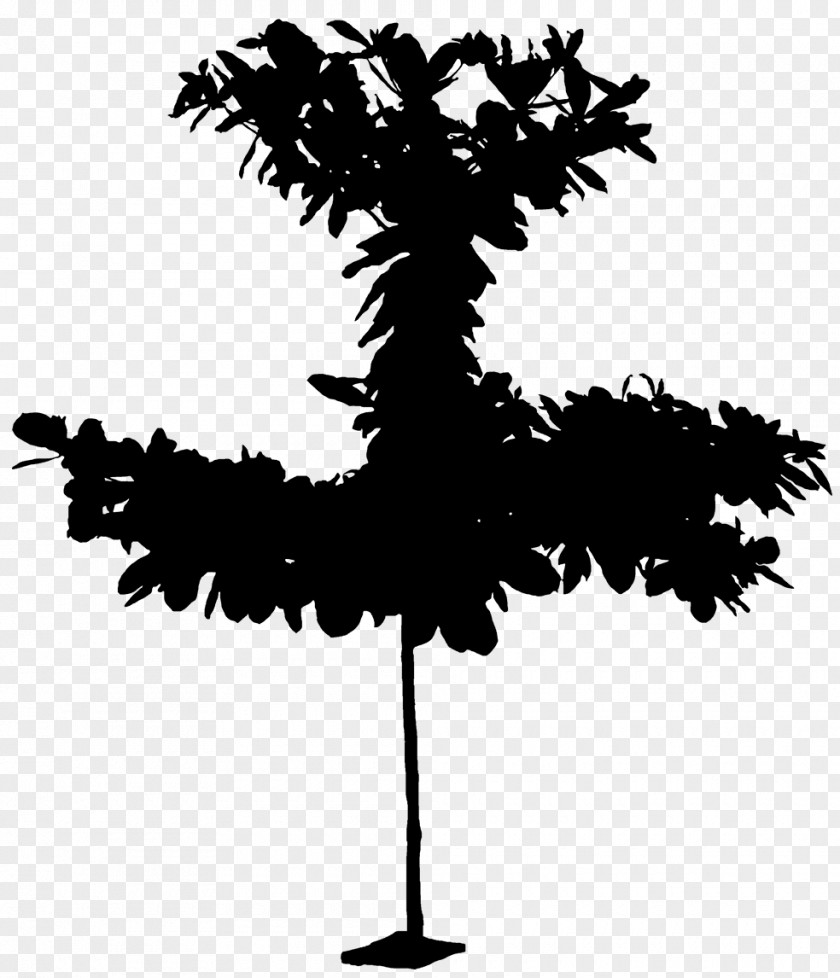 Blackandwhite Plant Cartoon Palm Tree PNG