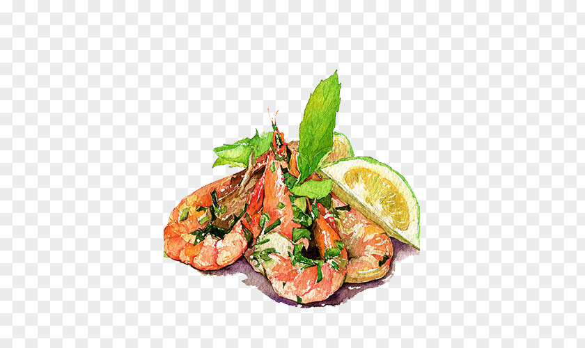 Drawing Storm Fried Prawn Dim Sum Caridea Watercolor Painting Food Illustration PNG