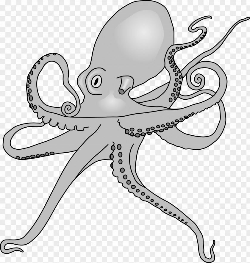 Octapus Octopus Drawing Line Art PNG