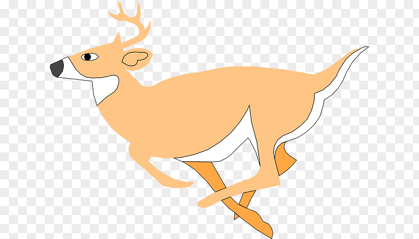 Deer White-tailed Reindeer Clip Art PNG