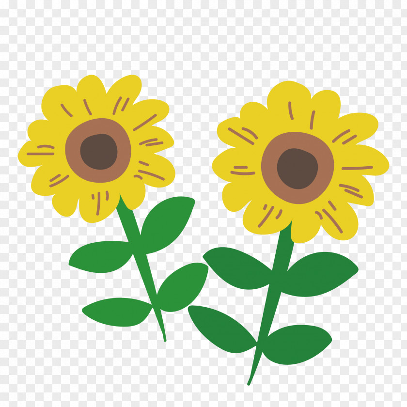 Flower Common Sunflower Floral Design PNG