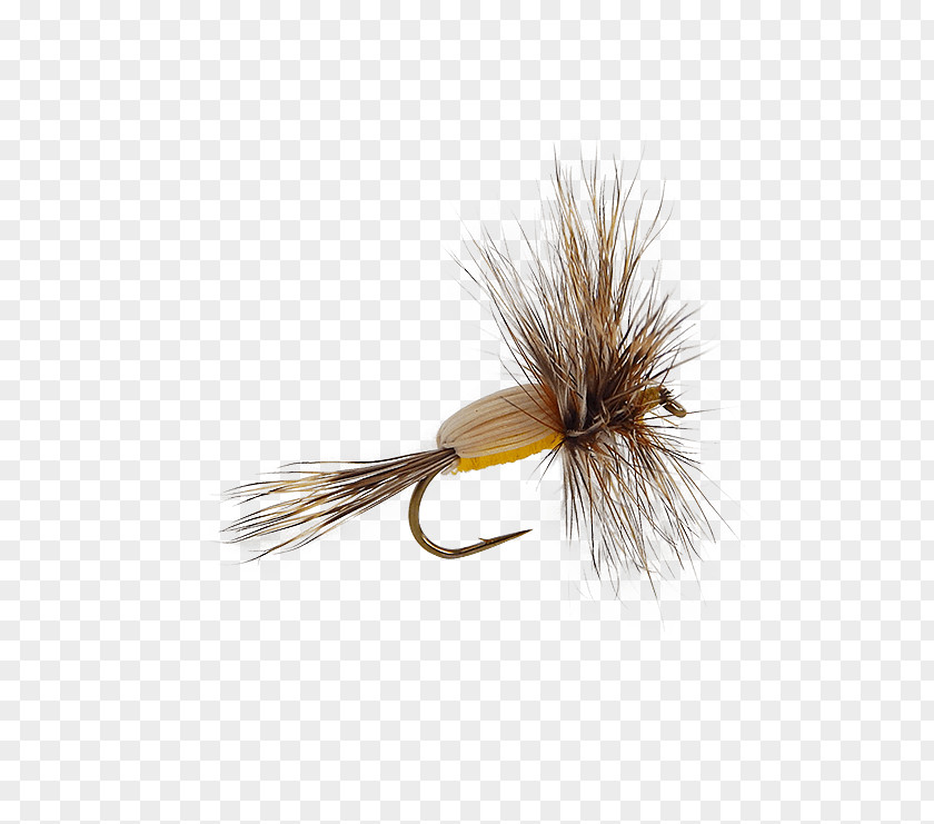 Fly Fishing Dry Flies Patterns Dave's Hopper Artificial Tying PNG