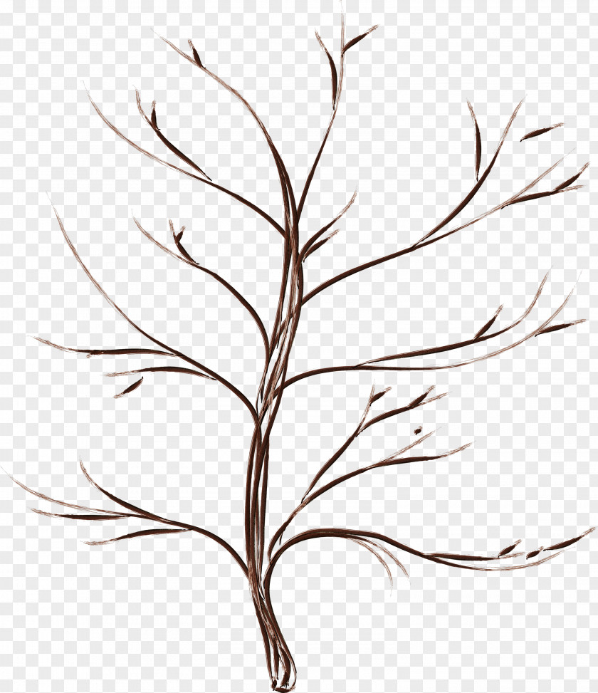 Hand-drawn Cartoon Tree Drawing PNG